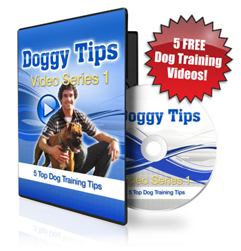 How do you sedate a dog safely?