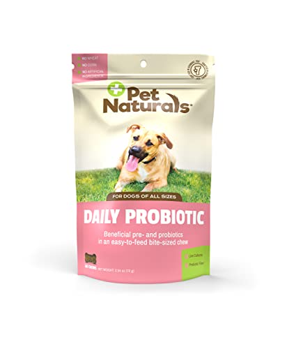 Pet Naturals of Vermont - Daily Probiotic for Dogs, Digestive Health...