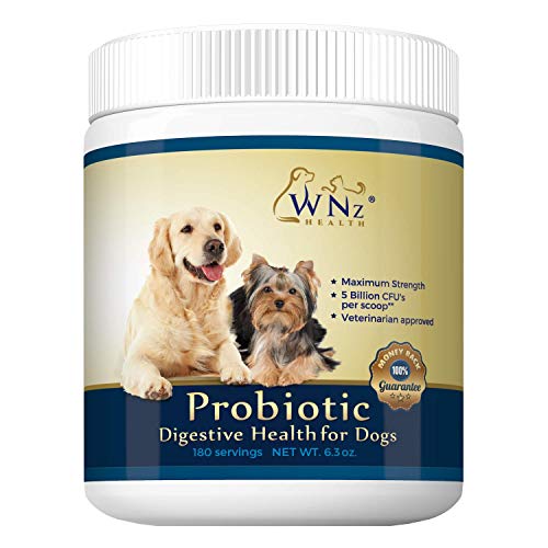 Probiotics for Dogs - Best Relief from Diarrhea Constipation Allergies Bad...
