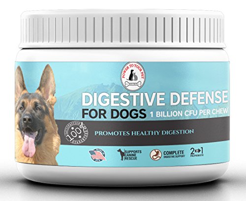 Digestive Defense 3-in-1 Chewable Probiotics for Dogs with Prebiotic and...