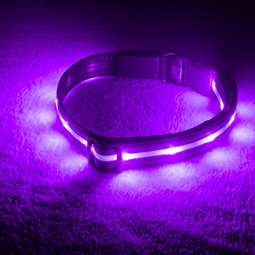 BLAZIN Brightest Light Up Dog Collars - The Original LED Dog Collar with...