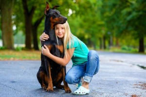 How to Train a Doberman Puppy