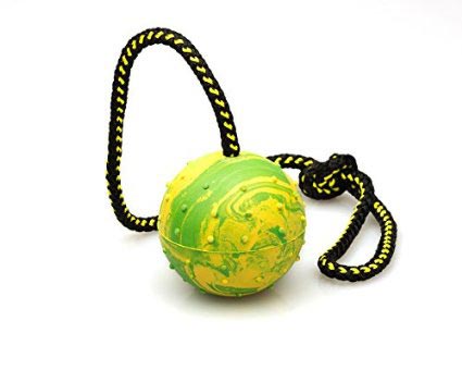 Gappay Rope and Ball Toy