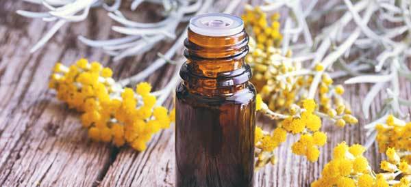 Helichrysum Essential Oil to enhance dog mood