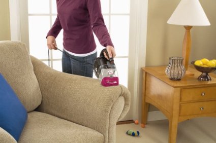 vacuuming pet hair