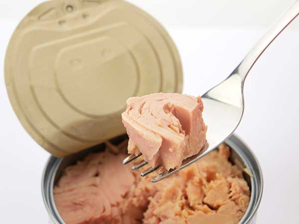 Can Dogs Eat Tuna Fish? The Most Important Pros And Cons