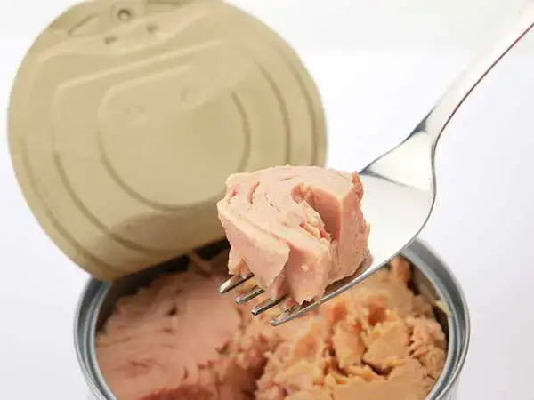 can dogs eat canned tuna?