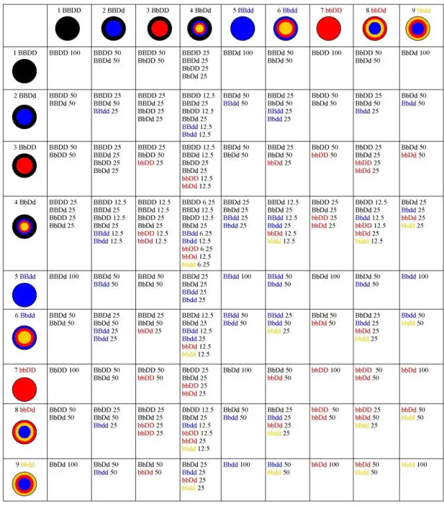 color inheritance chart doberman