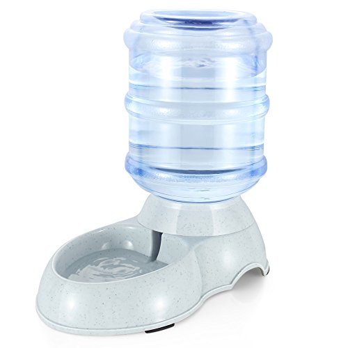 The Best Top 15 Dog Water Dispensers To Keep Your Dogs Hydrated