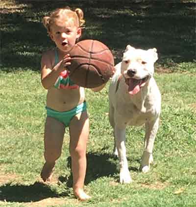 white pitbull dog and girl