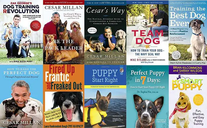 best dog training books