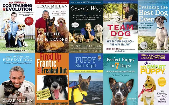 A Guide To Some Of Best Dog Training Books Available Today Top 24