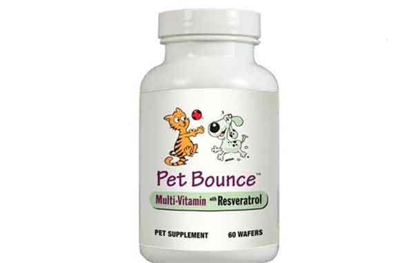 pet bounce multivitamin review