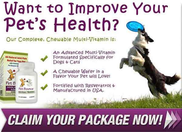 dog multivitamin guide