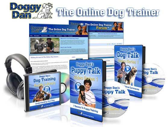 doggy dan the online dog trainer program package