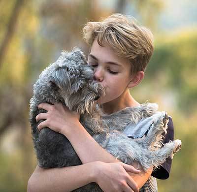 tips calm dog thunderstorm guide