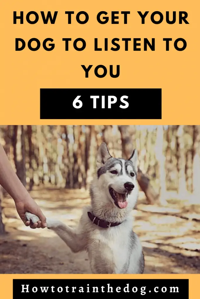 6 Tips on How to Get Your Dog to Listen to You