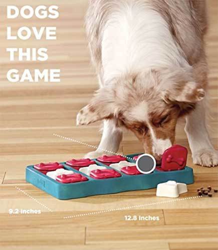 The Top 20 Best Puzzle Toys For Your Bored Dog