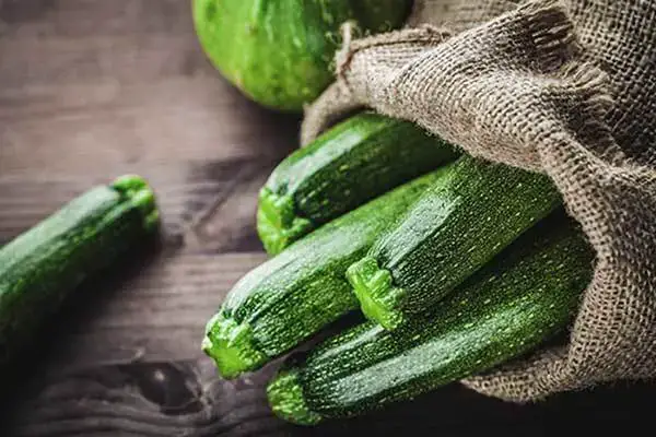 can puppies eat zucchini