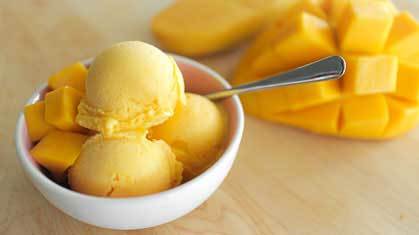 mango ice cream for dogs