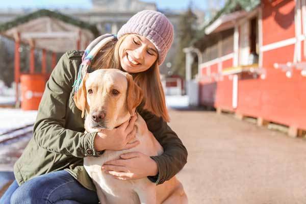 Labrador retriever dog with owner