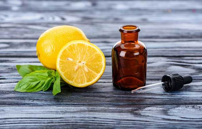 is-lemon-essential-oil-safe-for-dogs-benefits-risks-explained