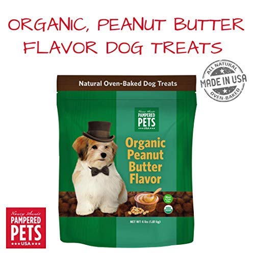 Can Dogs Eat Peanut Butter? Will It Make Him Sick?