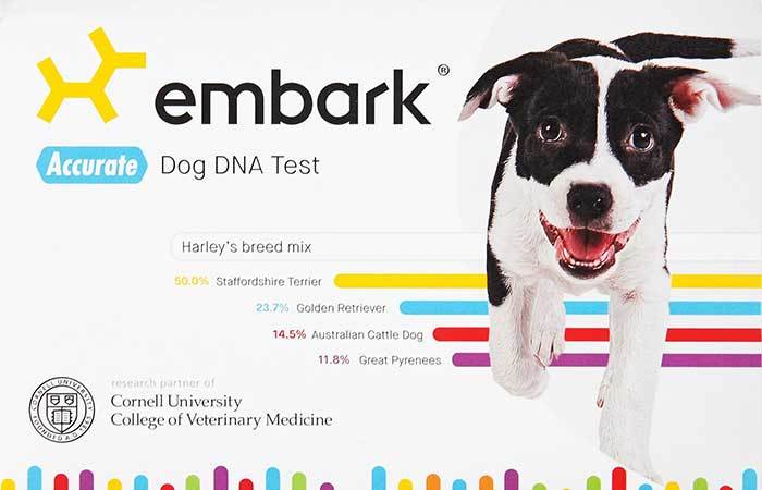 embark dog dna test kit full review