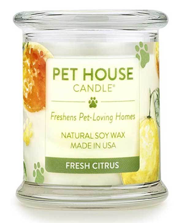 scented-candles-for-dogs