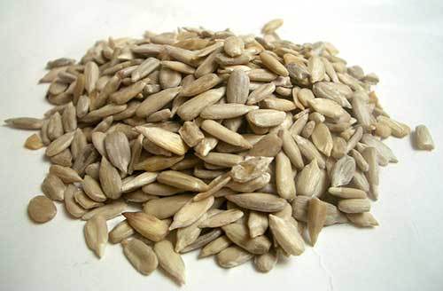 are sunflower seeds good for dogs