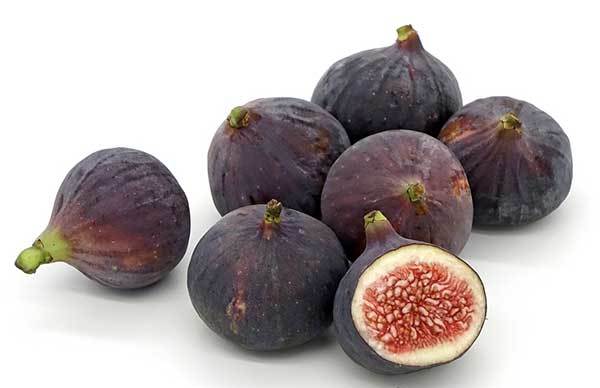 How to serve figs to your dog?