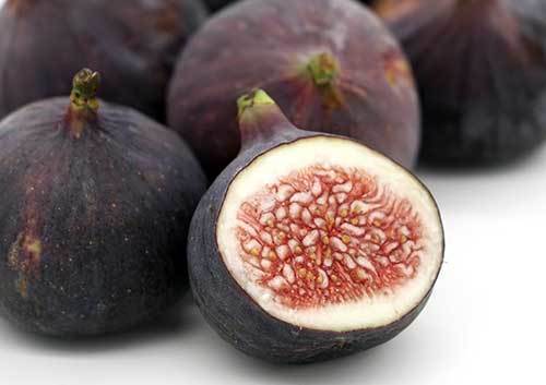 are figs bad for dogs?