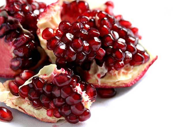 pomegranate and dogs
