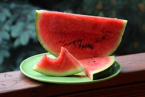 is watermelon safe for dogs