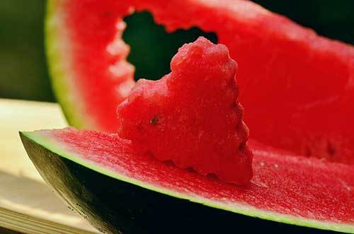 how much watermelon can dogs eat