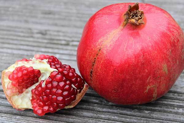 are pomegranates good for dogs