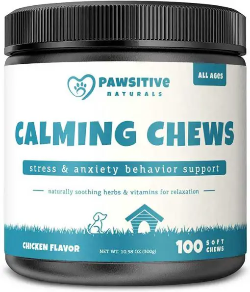 Chamomile Tea for Dogs The Ultimate Guide