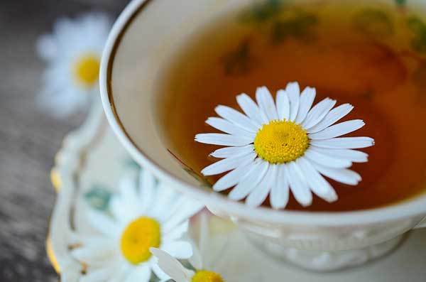 chamomile tea benefits for dogs