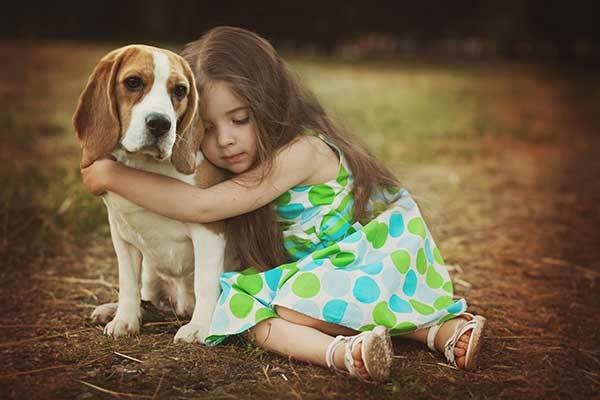 beagle and children