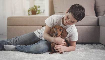 Are Dachshunds Good With Kids? The Pros & Cons of Doxies