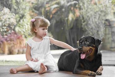 are rottweilers good with babies