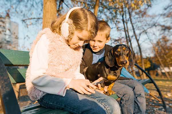 do dachshunds like children?