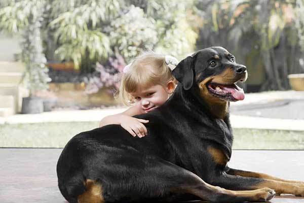 are rottweilers good with babies?