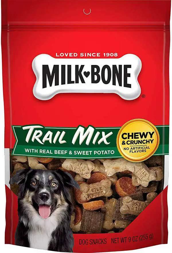 Can Dogs Eat Donuts? Here's Why They Probably Shouldn't