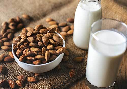 can nursing dogs drink almond milk?