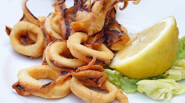 calamari for dogs the ultimate guide