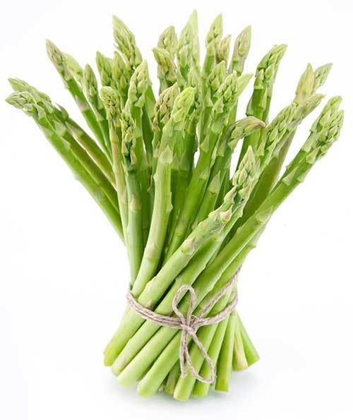 Can Diabetic Dogs Eat Asparagus?