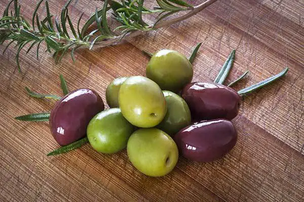 are olives bad or good for dogs?