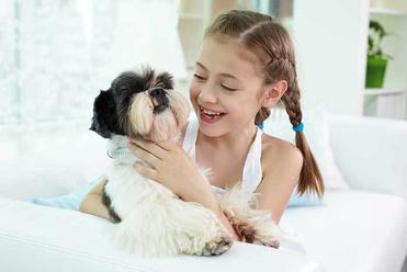 are shih tzus good with kids