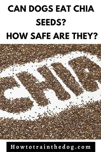 are chia seeds safe for dogs